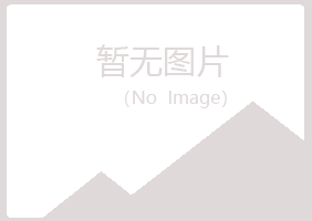 宁夏白山设计有限公司